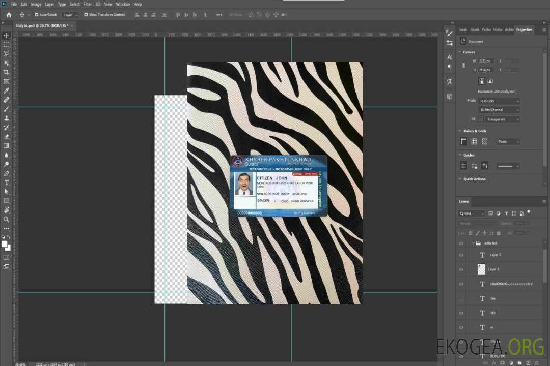 Pakistan DL photolook AVANT template Pakistan DL photolook AVANT template